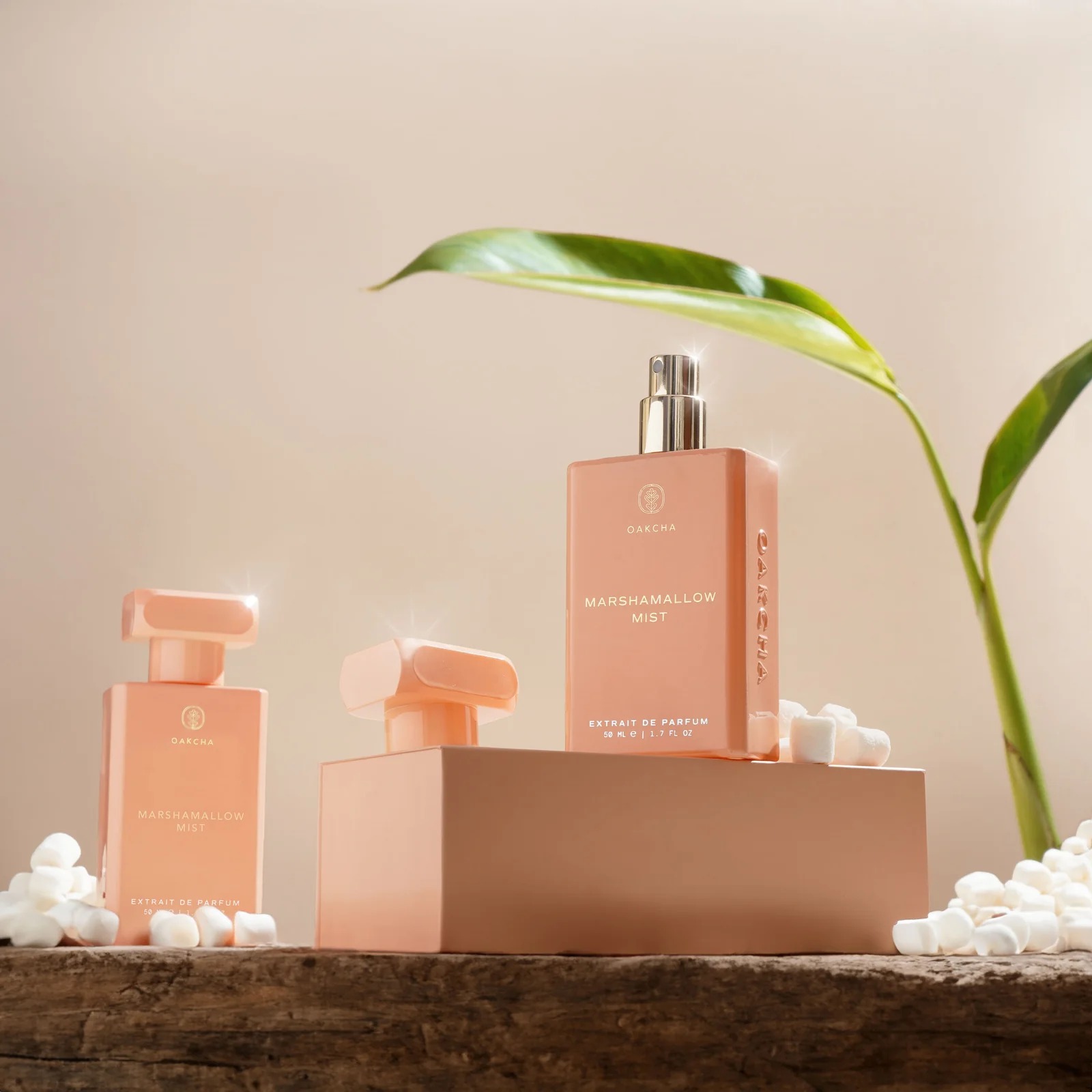 Oakcha Extrait De Parfum 50ml  - مراجعة Luxury Lifestyle Icon وسعره